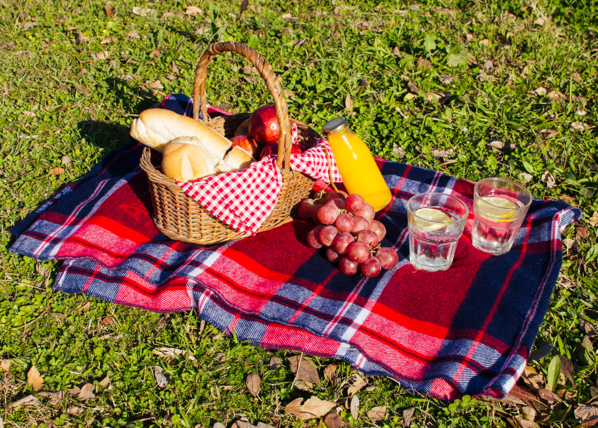 Consigli per un perfetto picnic di Ferragosto