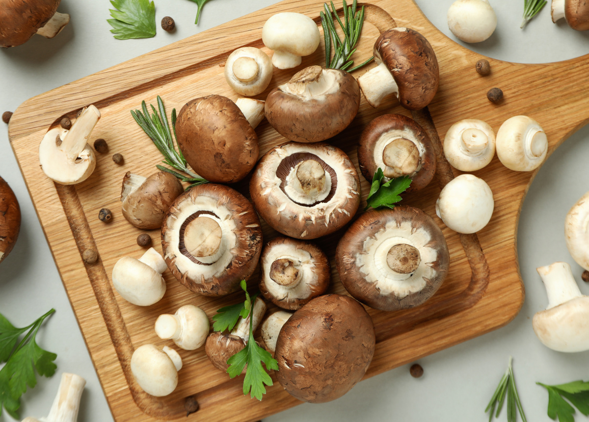 Tempo di funghi: quando e come mangiarli senza rischi