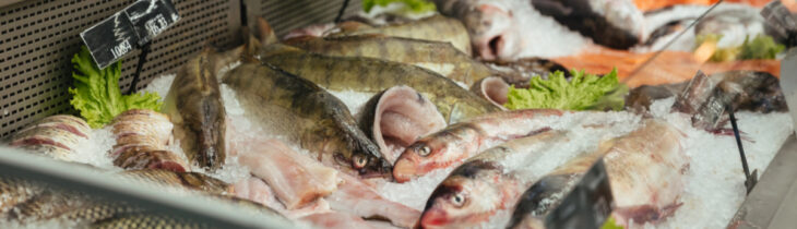Quale pesce scegliere? Guida pratica per portarlo in tavola 